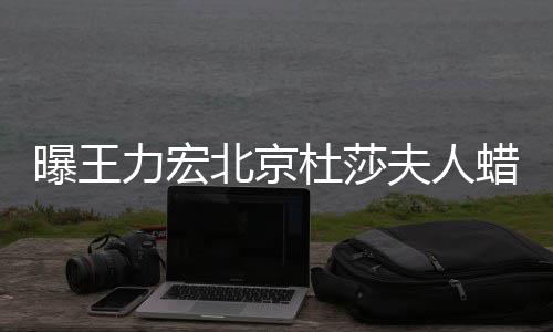 曝王杜莎力宏蜡像关北京被撤波有夫人和离婚风 疑